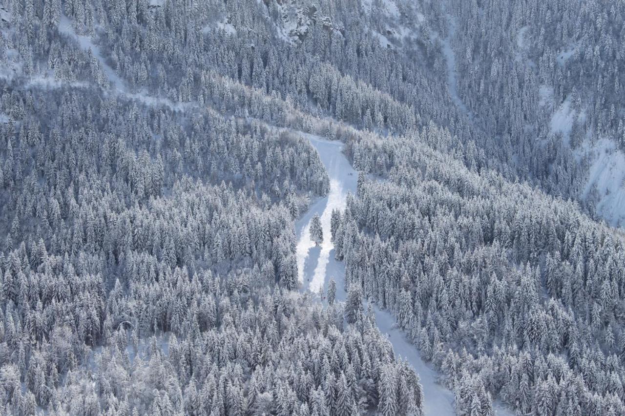Hotel Le V De Vaujany Eksteriør billede